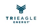 Tri-Eagle logo